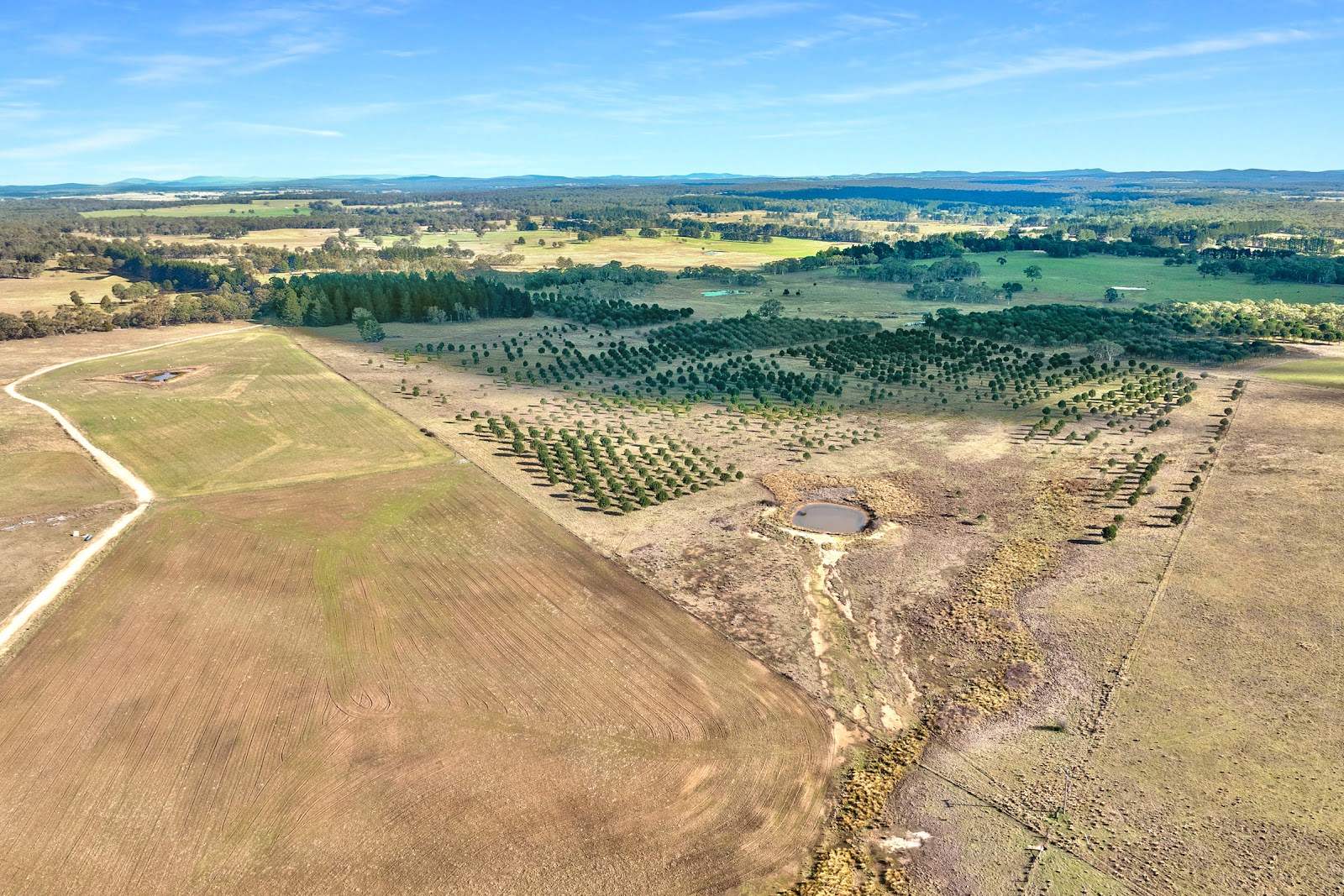 609 Jacqua Road, Windellama For Sale by Farmbuy.com - image 12