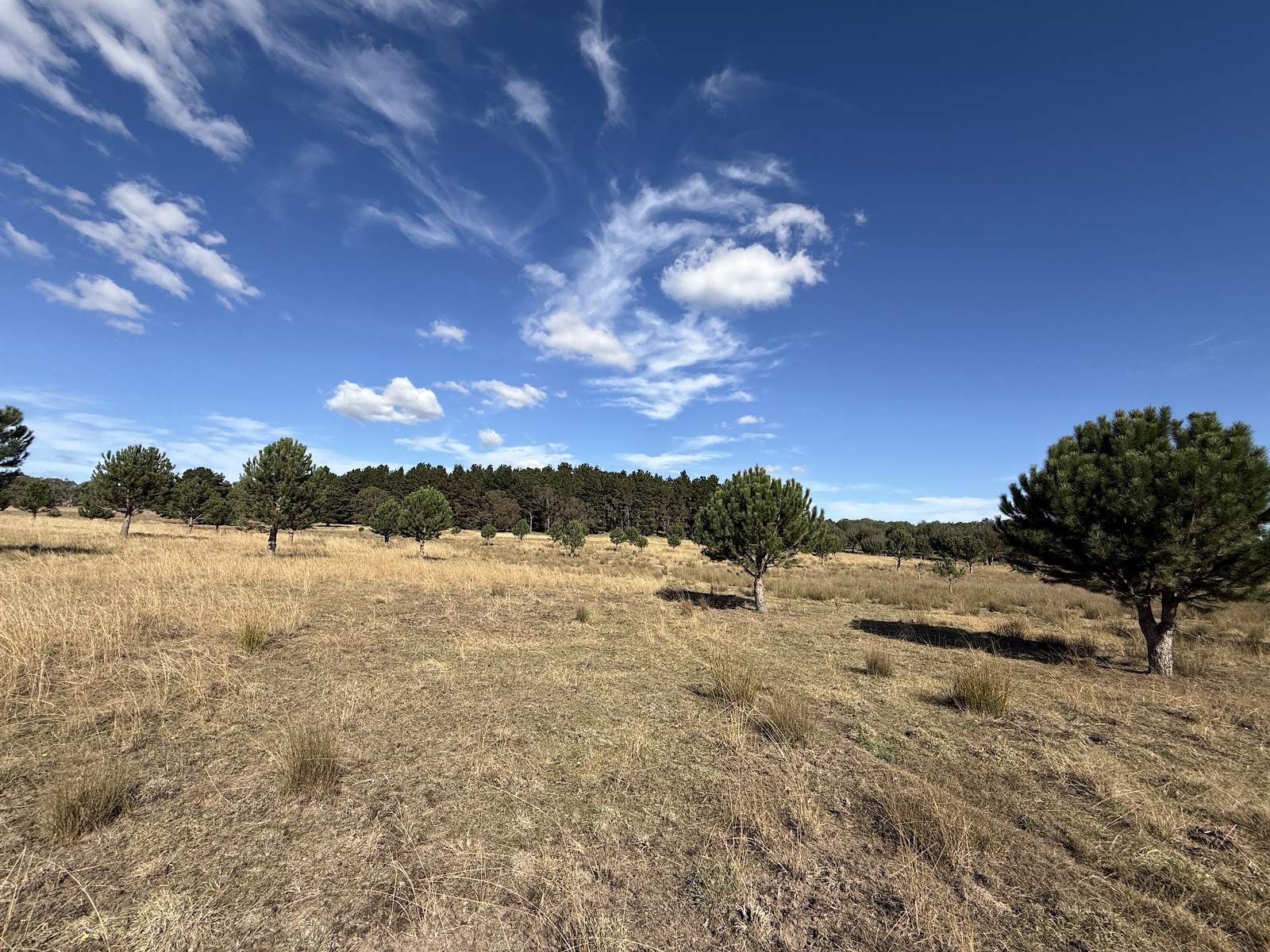 609 Jacqua Road, Windellama For Sale by Farmbuy.com - image 12