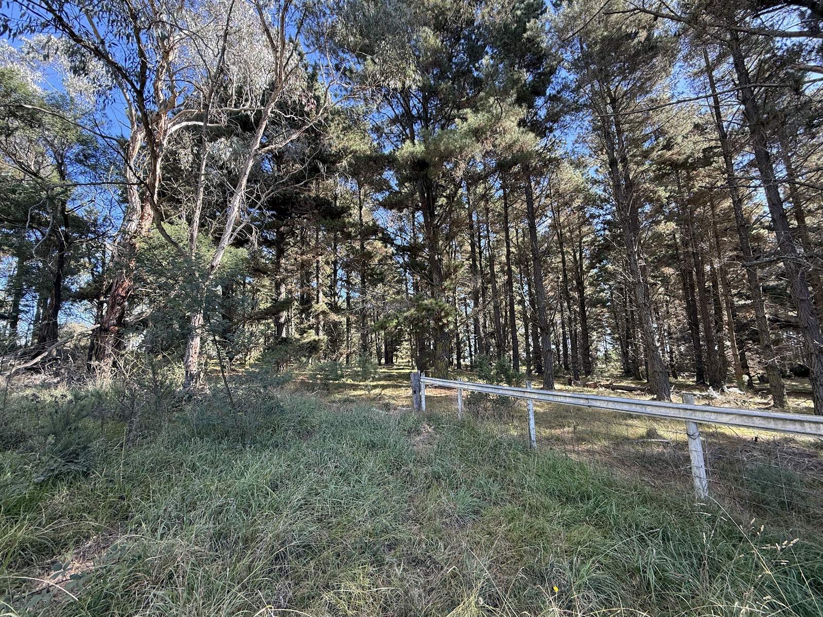 609 Jacqua Road, Windellama For Sale by Farmbuy.com - image 18