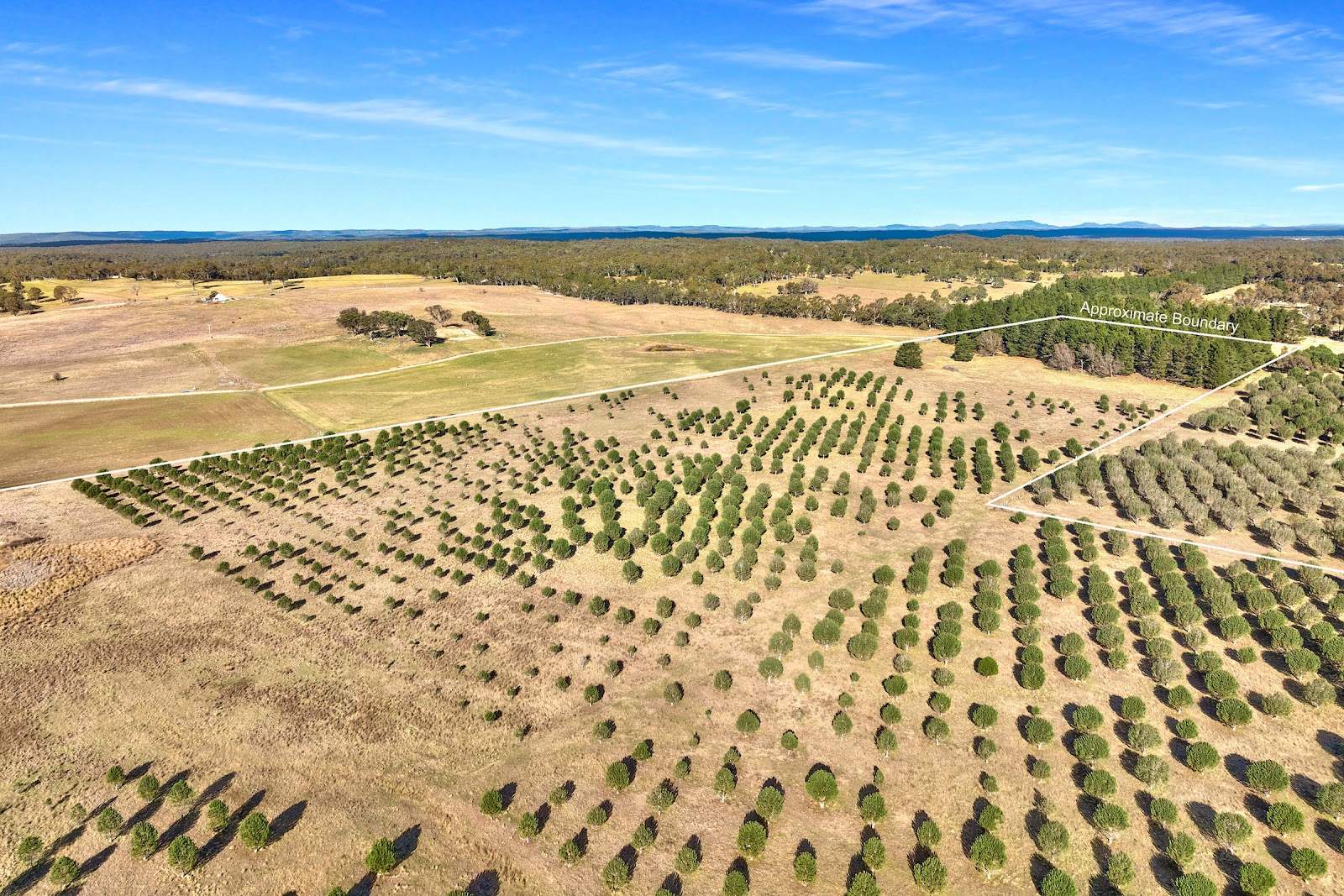 609 Jacqua Road, Windellama For Sale by Farmbuy.com - image 3