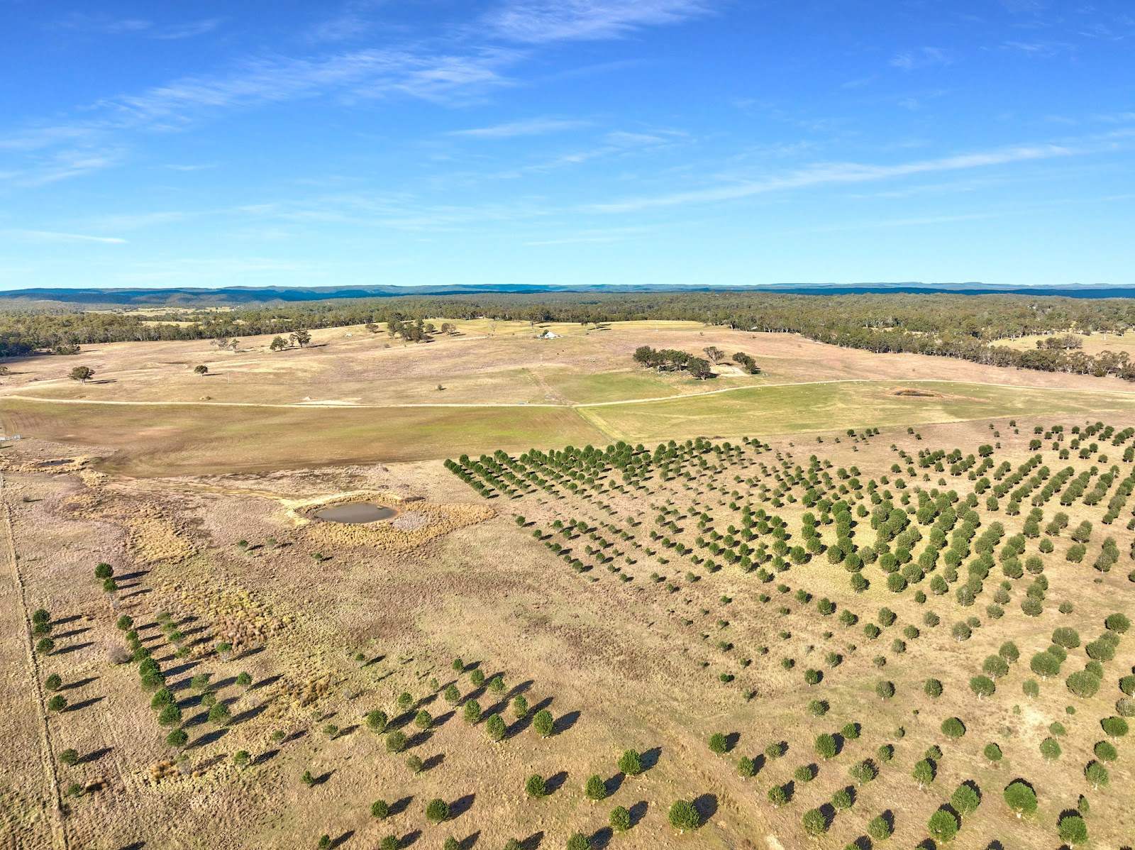 609 Jacqua Road, Windellama For Sale by Farmbuy.com - image 11