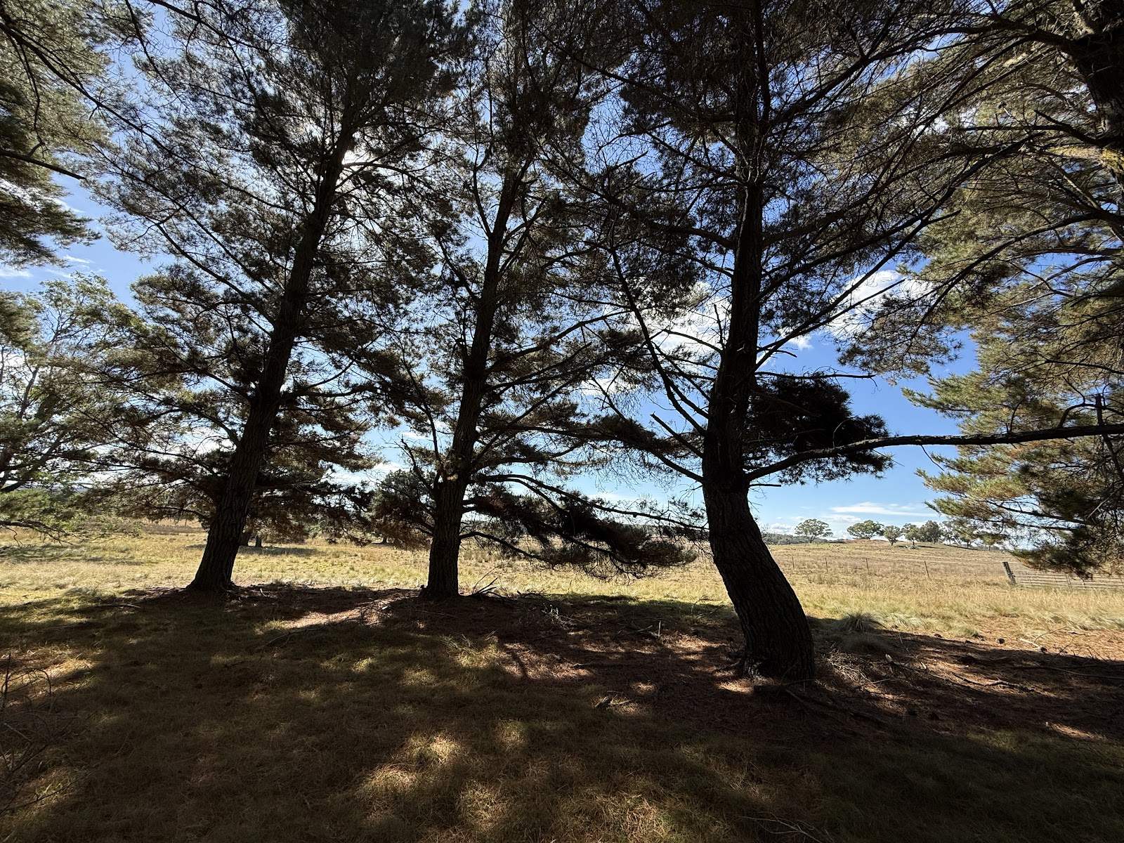 609 Jacqua Road, Windellama For Sale by Farmbuy.com - image 14