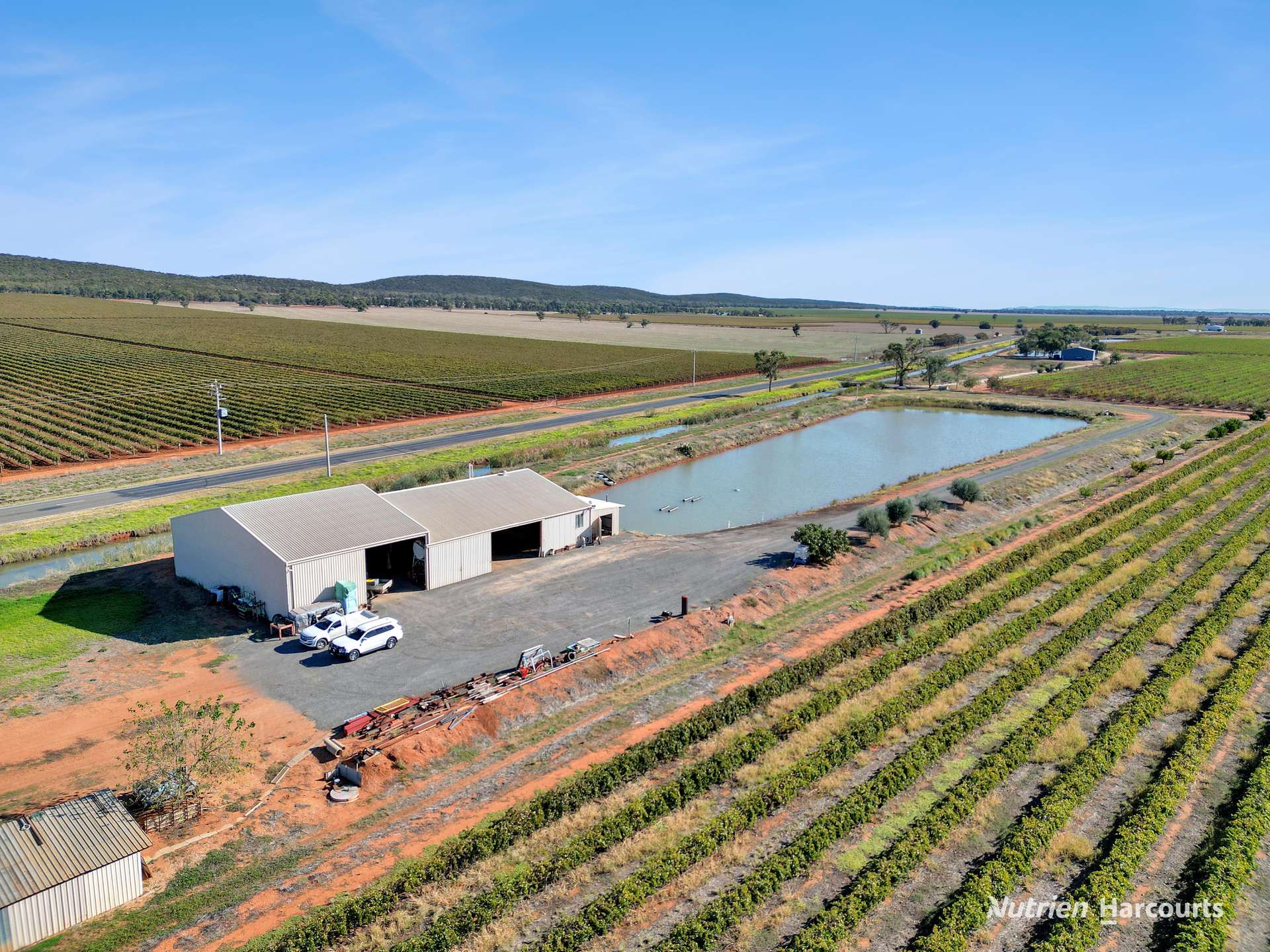 Farm 1631, 1646 Rankins Springs Road, Myall Park Sold by Farmbuy.com - image 2