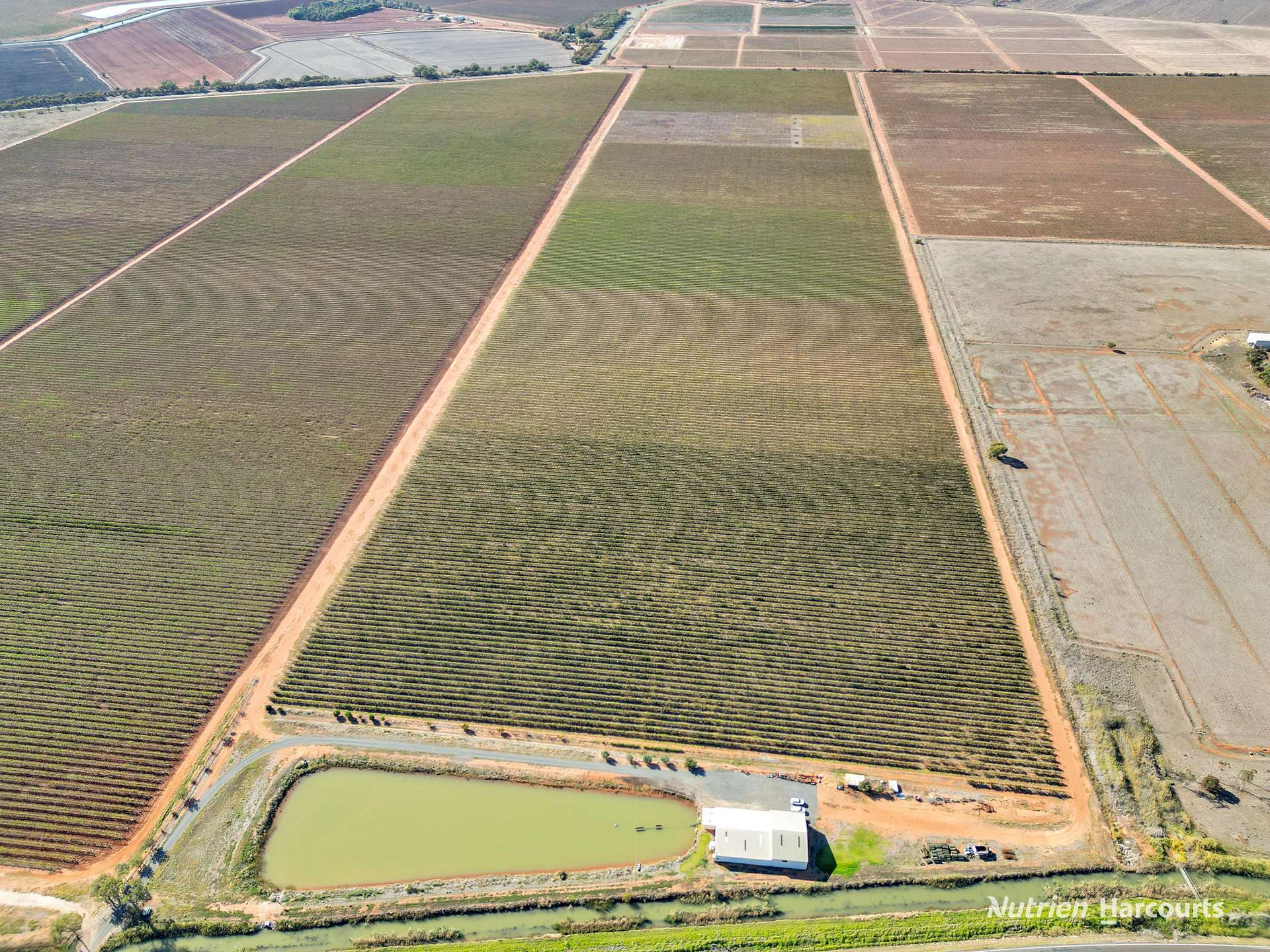 Farm 1631, 1646 Rankins Springs Road, Myall Park Sold by Farmbuy.com - image 14