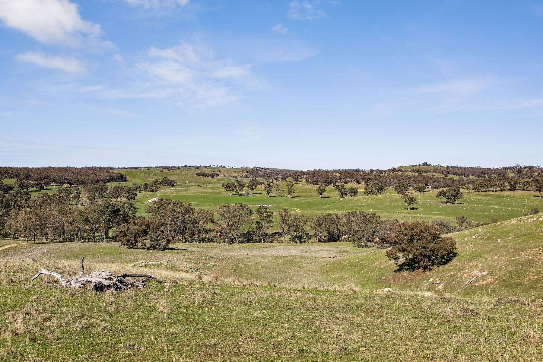 "Cairn Hill" Cnr Patons & Doles Road, Kimbolton For Sale by Farmbuy.com - image 17