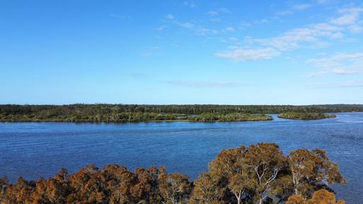 Farm For Sale - NSW - Micalo Island - 2464 - MICALO MAGIC! 