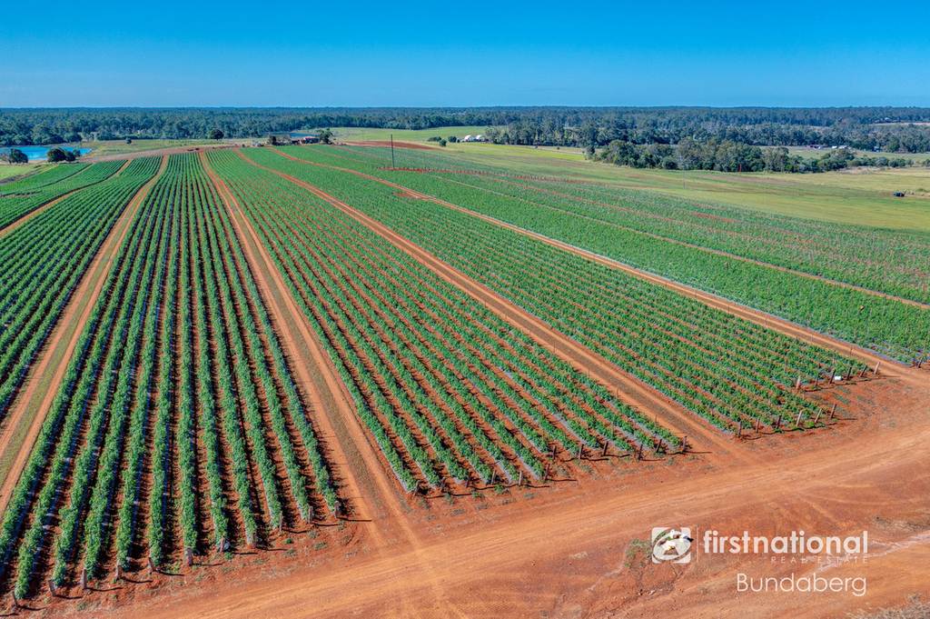 79 Abbotsford Mountain Road, Bucca QLD 4670