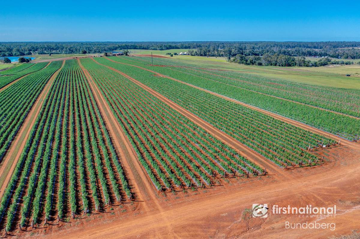 79 Abbotsford Mountain Road, Bucca Sold by Farmbuy.com - image 1