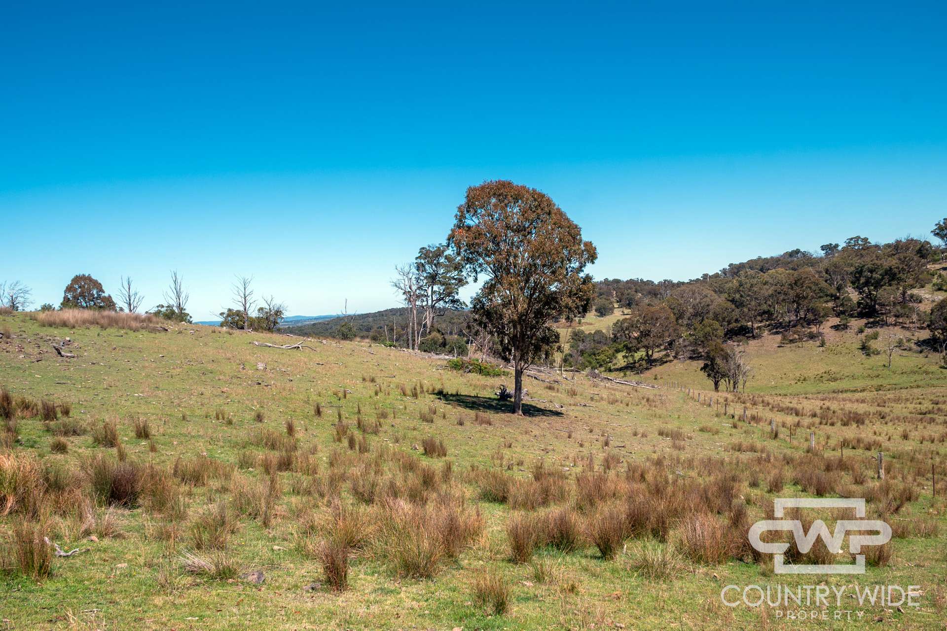 Lot 11, - Ten Mile Rd, Deepwater For Sale by Farmbuy.com - image 17