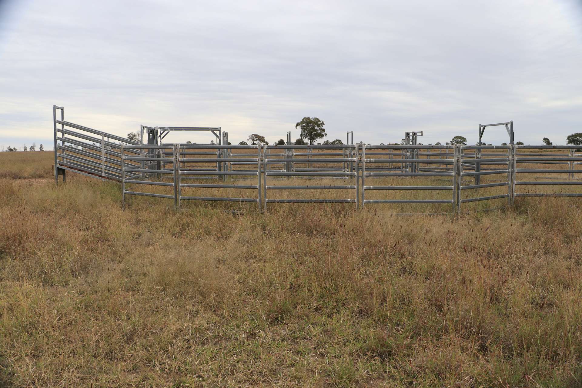 Roma For Sale by Farmbuy.com - image 3