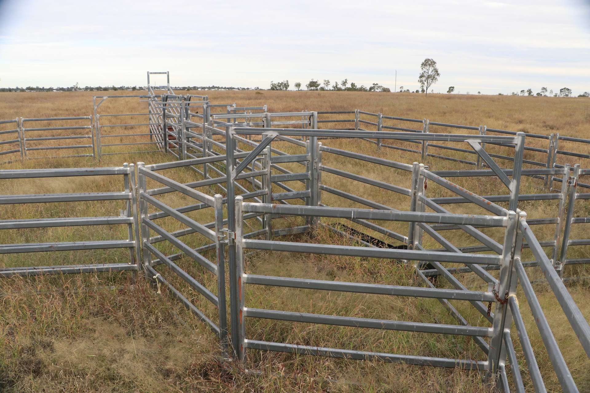 Roma For Sale by Farmbuy.com - image 16
