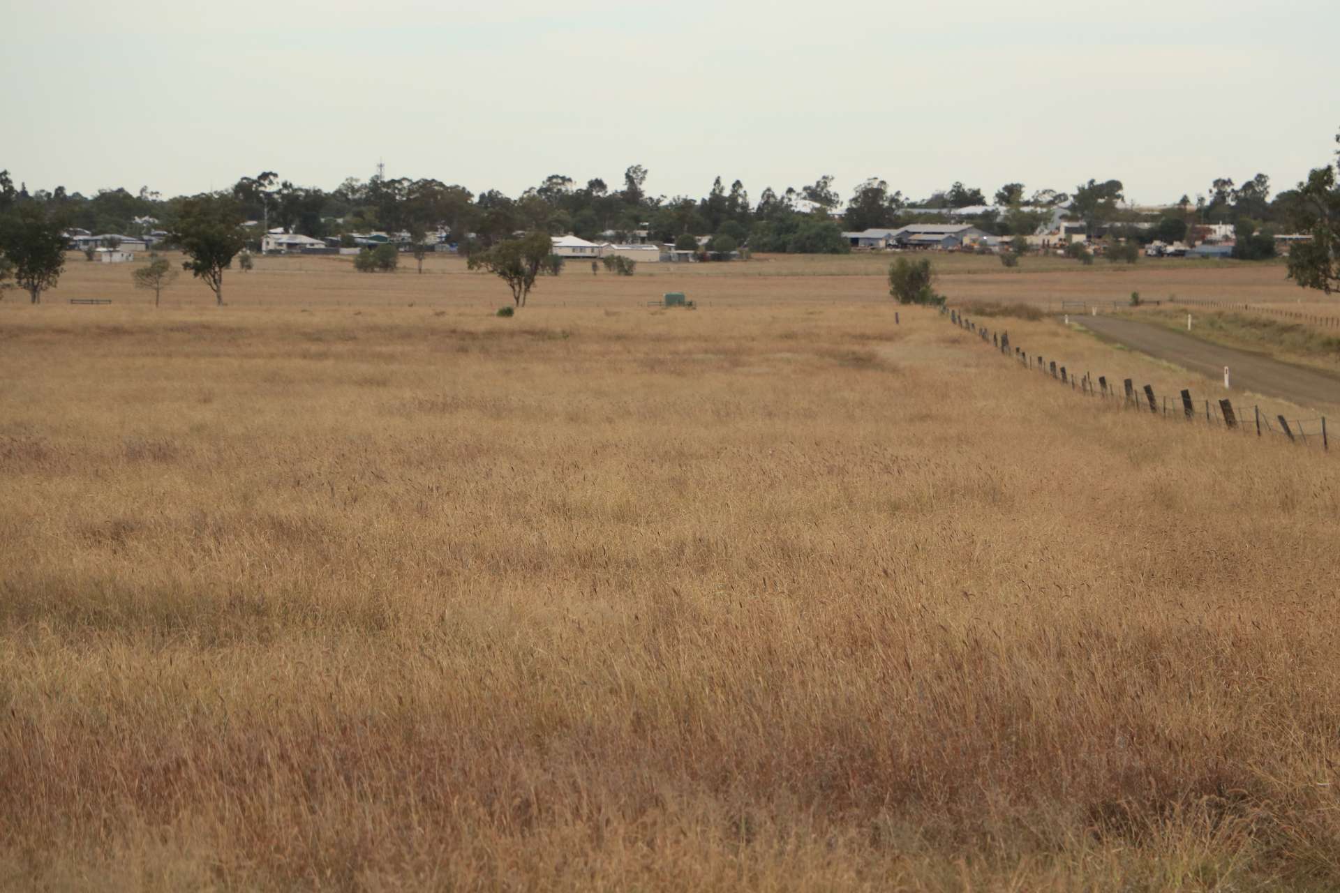 Roma For Sale by Farmbuy.com - image 3