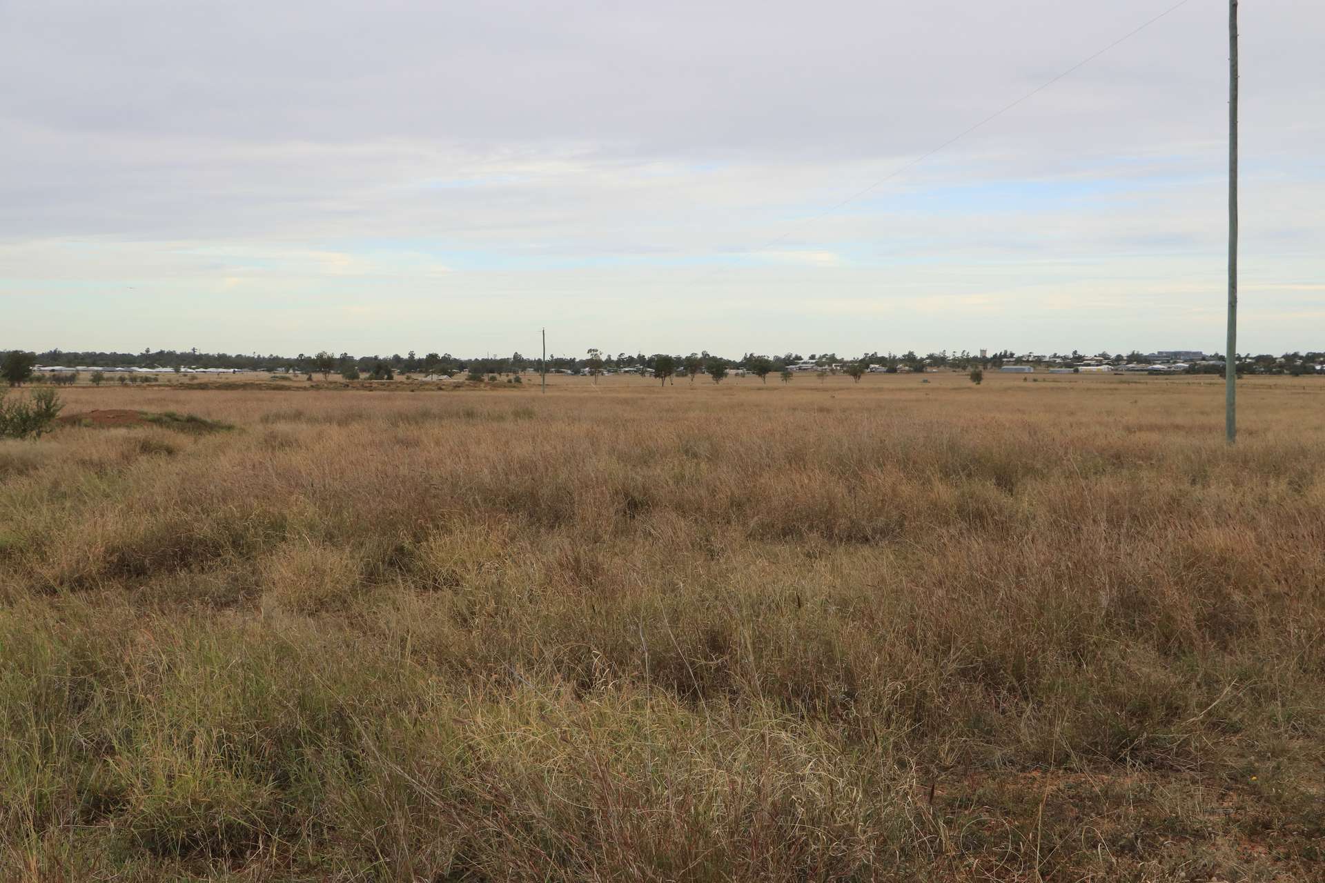 Roma For Sale by Farmbuy.com - image 13