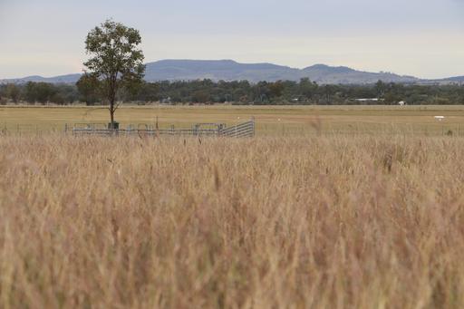 Roma QLD 4455