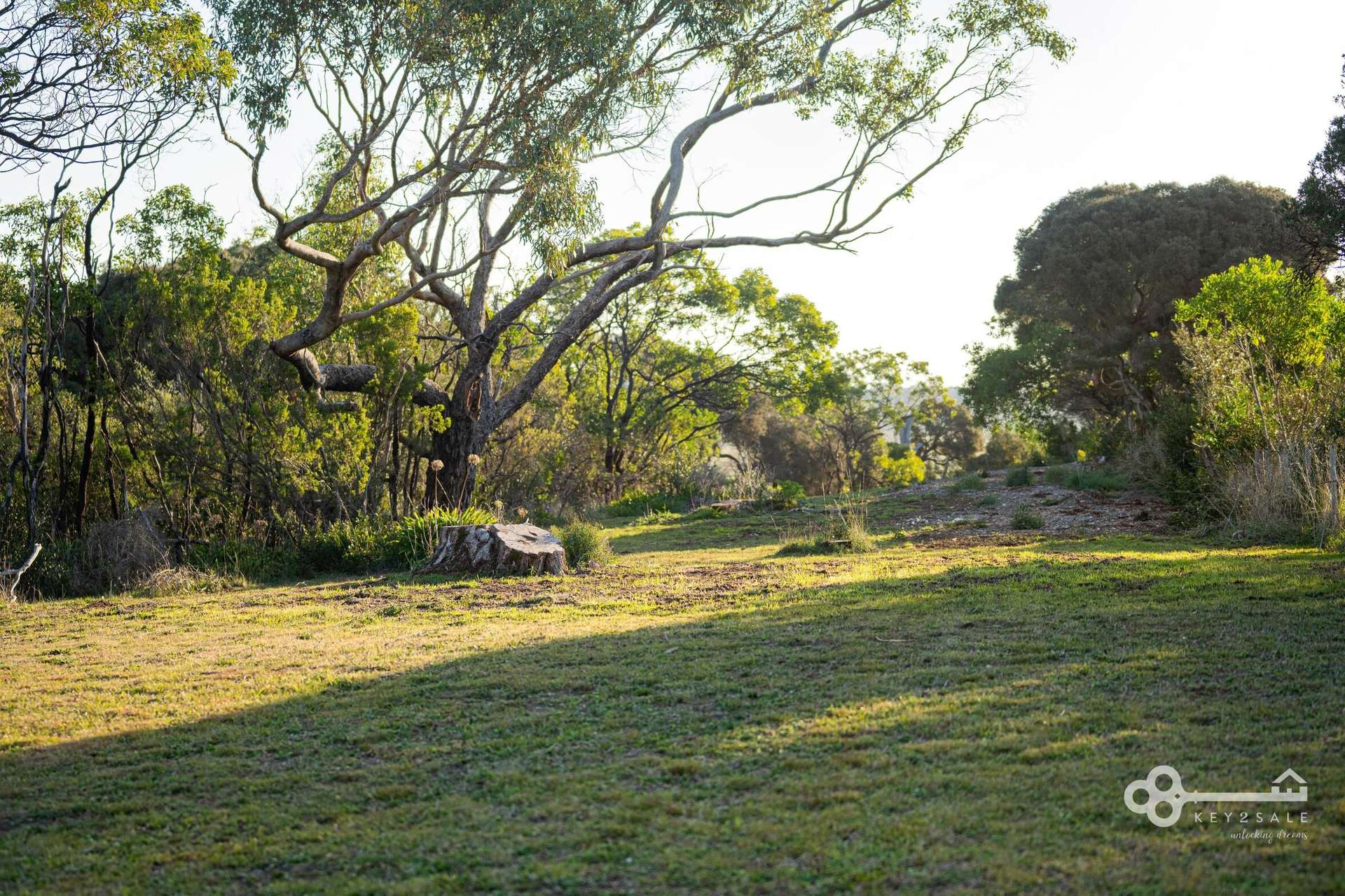 30 Black Swan Road, Nelson For Sale by Farmbuy.com - image 8