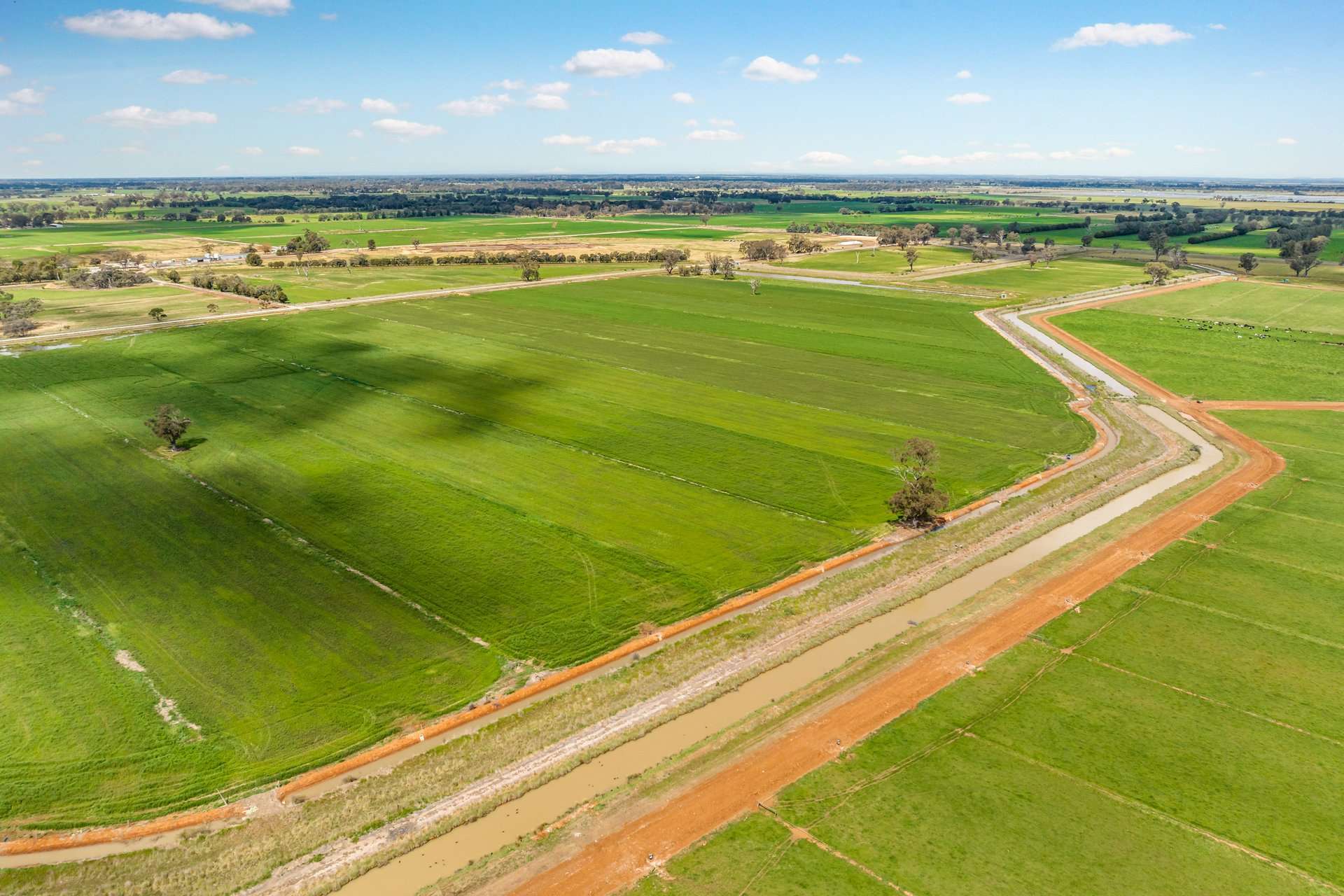 1070 & 1072 White Road, Girgarre For Sale by Farmbuy.com - image 6