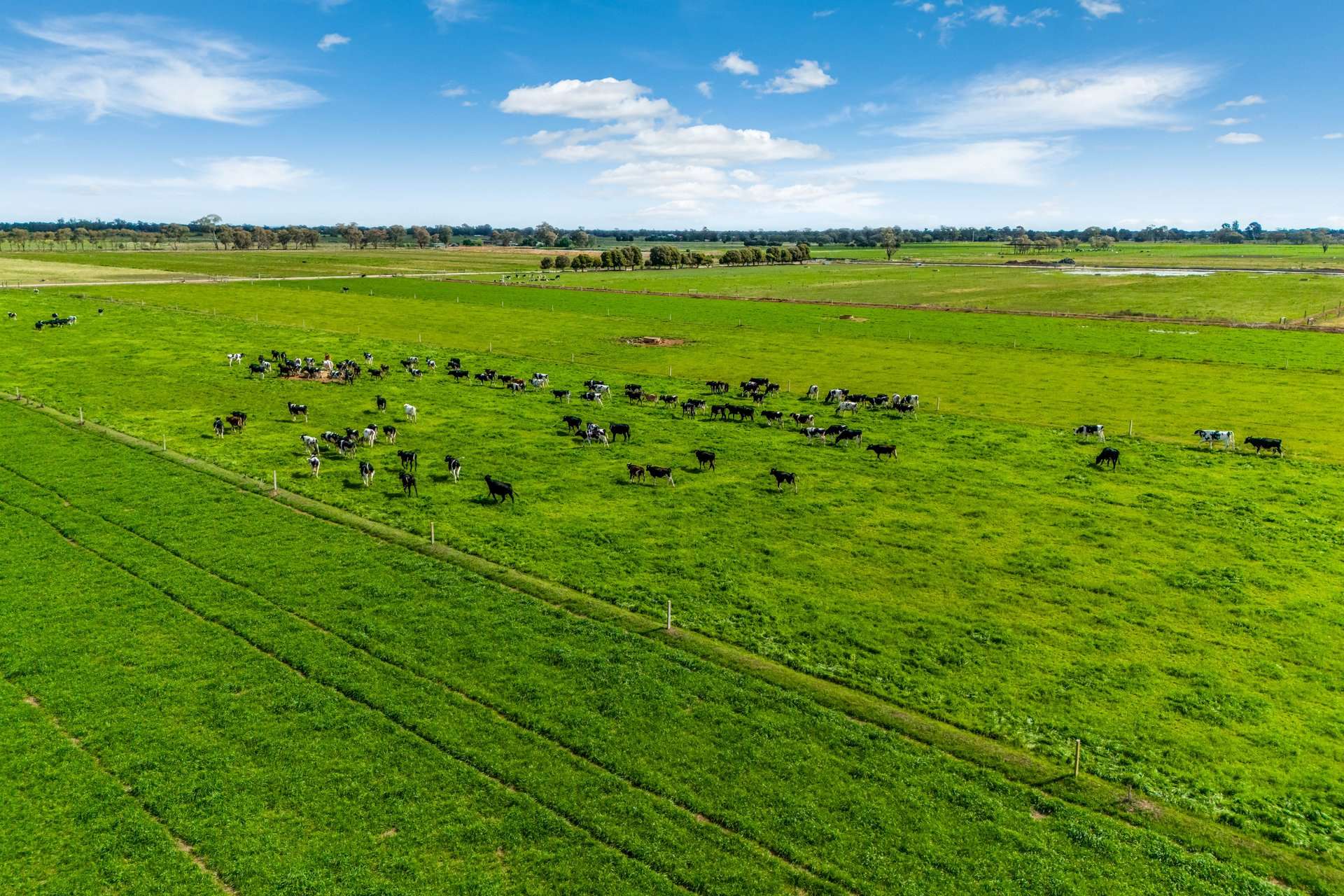 1070 & 1072 White Road, Girgarre For Sale by Farmbuy.com - image 8