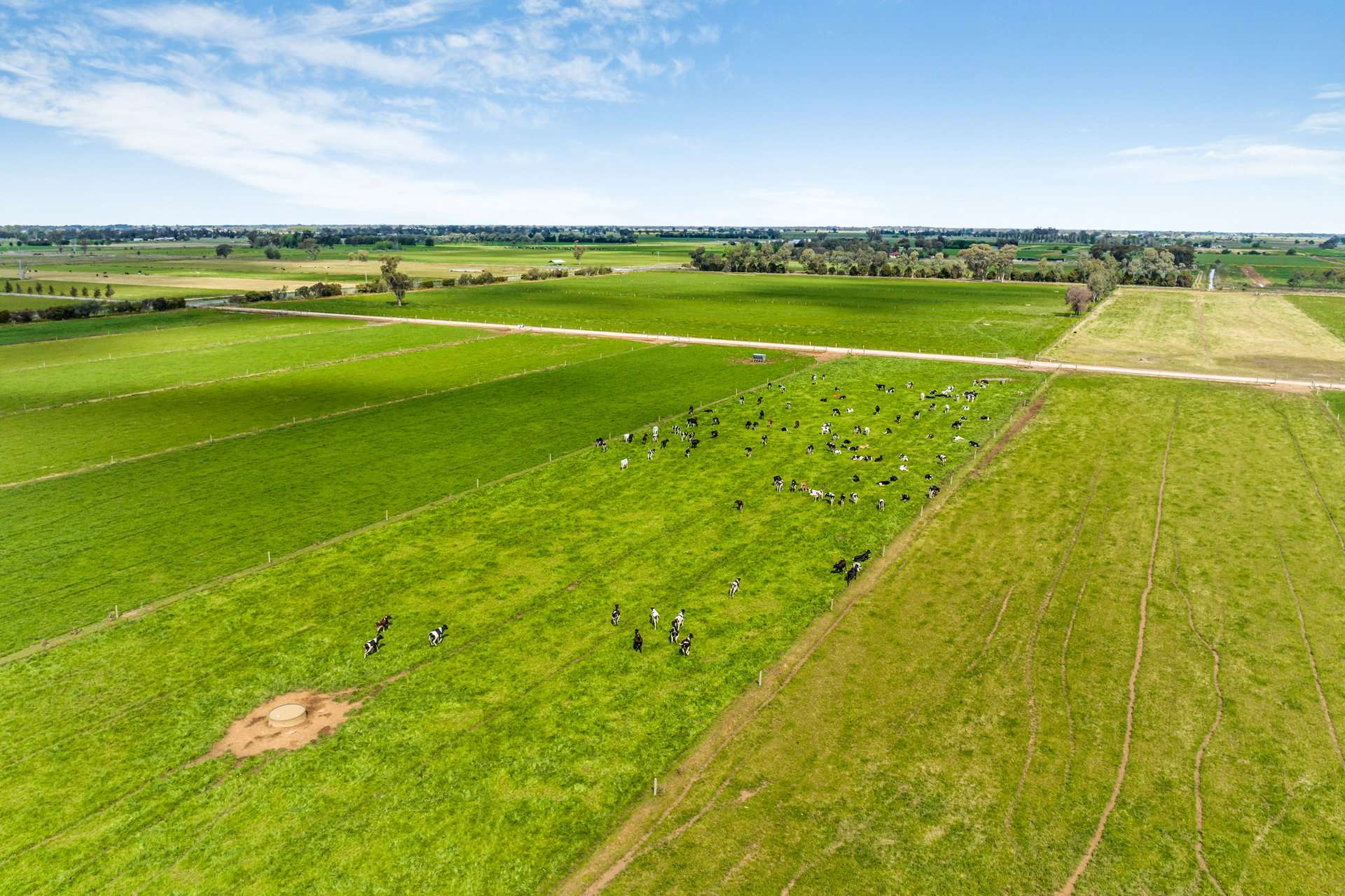 1070 & 1072 White Road, Girgarre For Sale by Farmbuy.com - image 10