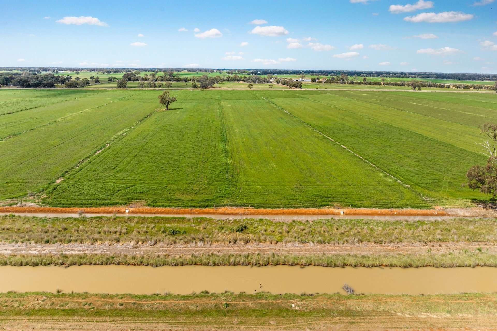 1070 & 1072 White Road, Girgarre For Sale by Farmbuy.com - image 7
