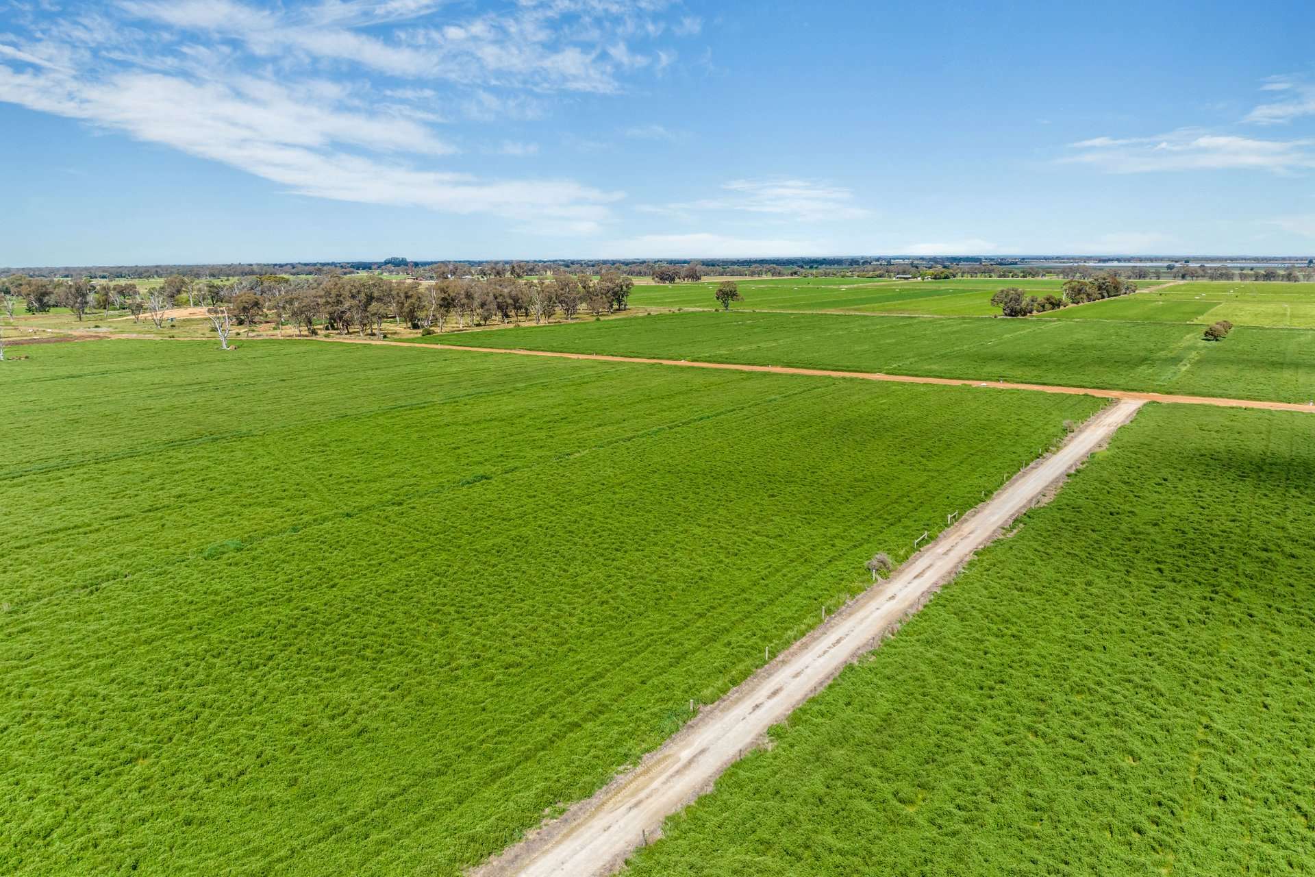 1070 & 1072 White Road, Girgarre For Sale by Farmbuy.com - image 3