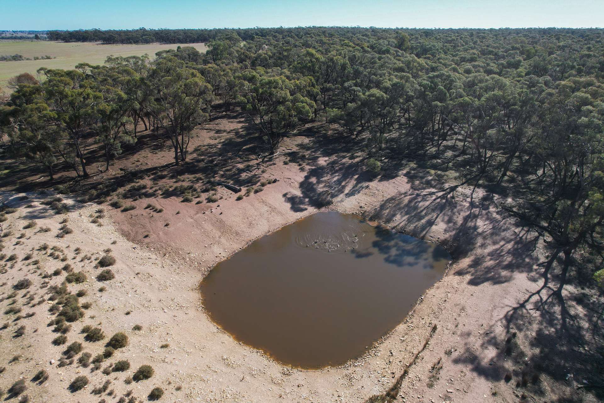 1826 Tallimba Road, West Wyalong For Sale by Farmbuy.com - image 15