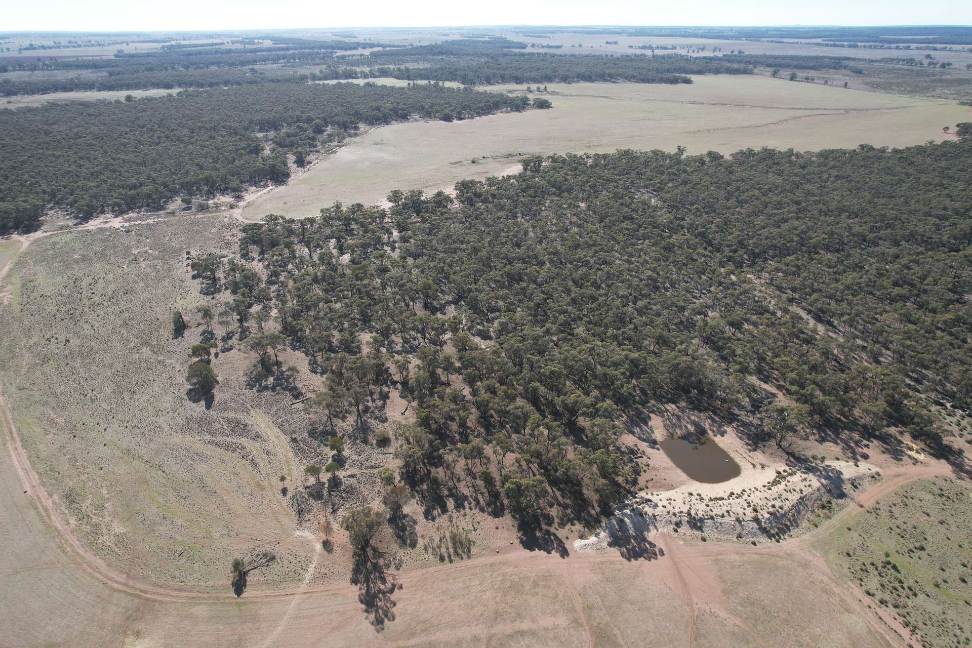 1826 Tallimba Road, West Wyalong For Sale by Farmbuy.com - image 9