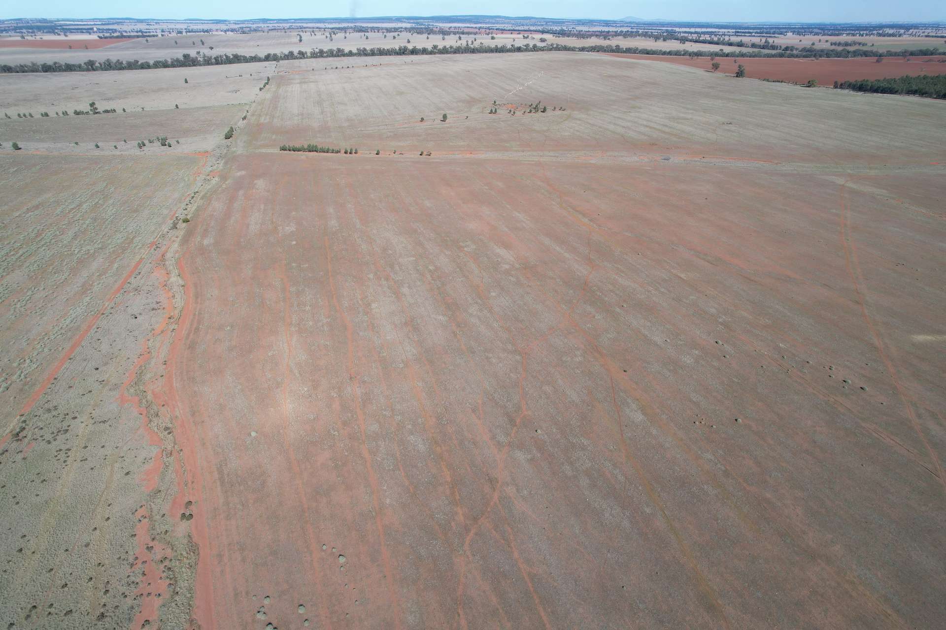 1826 Tallimba Road, West Wyalong For Sale by Farmbuy.com - image 8