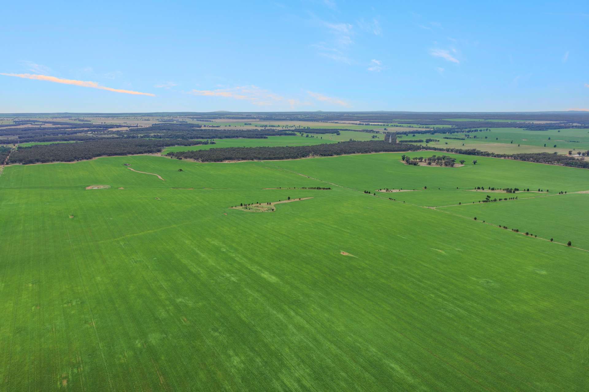 1826 Tallimba Road, West Wyalong For Sale by Farmbuy.com - image 2