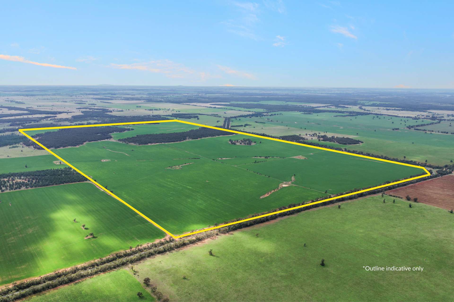 1826 Tallimba Road, West Wyalong For Sale by Farmbuy.com - image 3