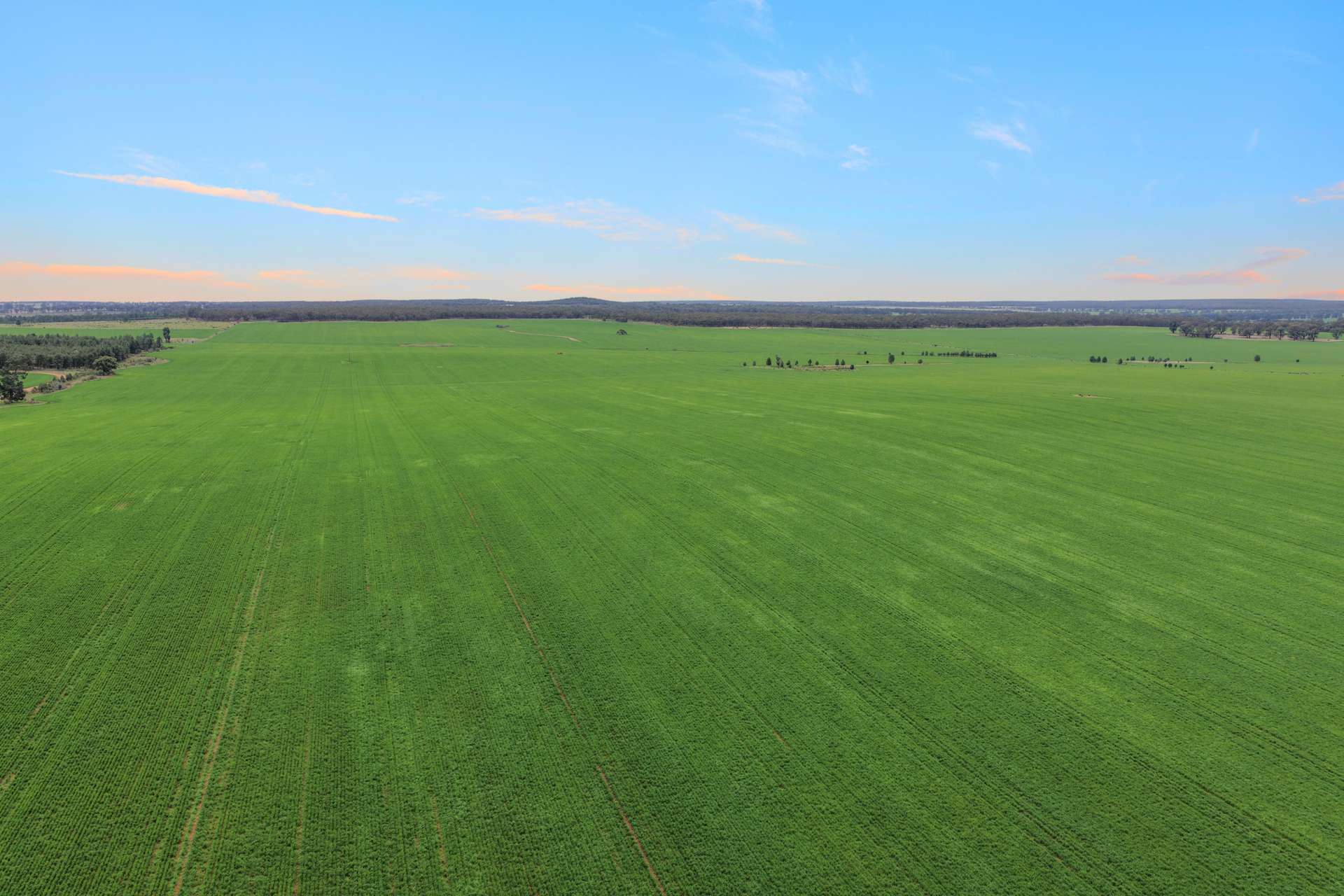 1826 Tallimba Road, West Wyalong For Sale by Farmbuy.com - image 1