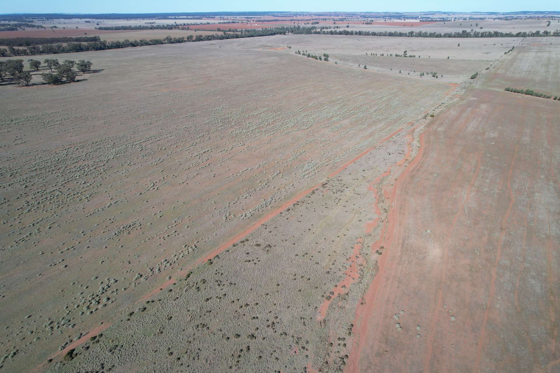 1826 Tallimba Road, West Wyalong For Sale by Farmbuy.com - image 7