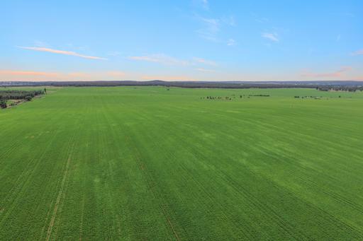 Farm For Sale - NSW - West Wyalong - 2671 - 'Eulin' West Wyalong NSW 2671 