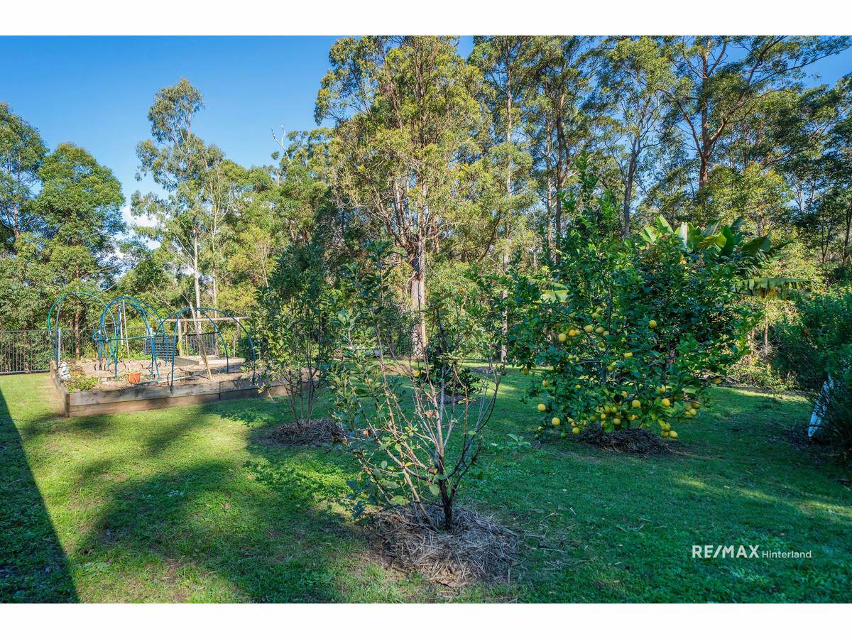 209 Scotts Road, Booroobin Sold by Farmbuy.com - image 24