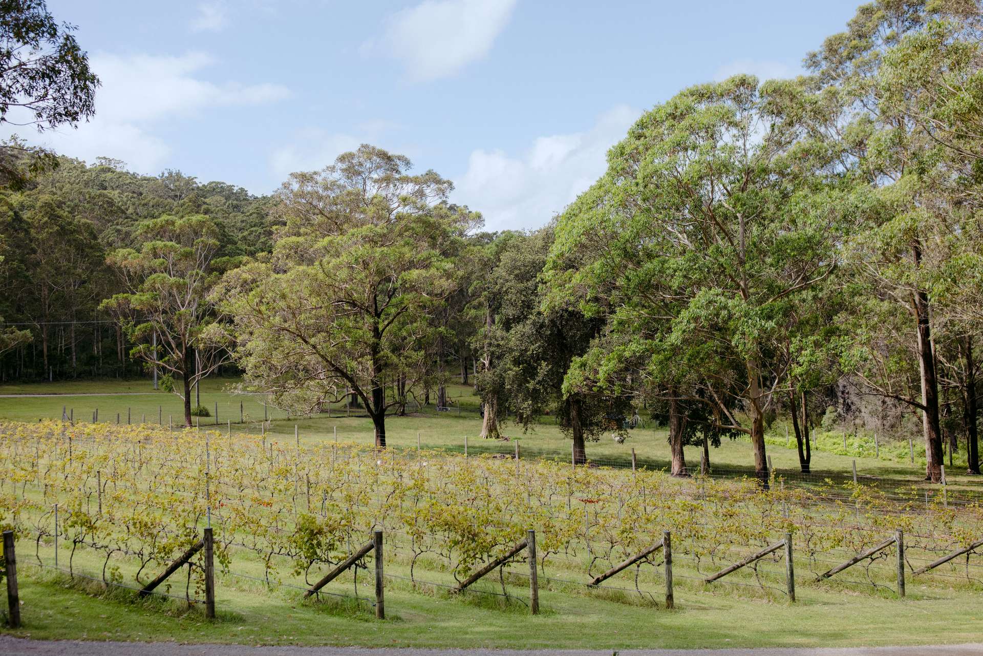 226 Bawley Point Road, Bawley Point For Sale by Farmbuy.com - image 25