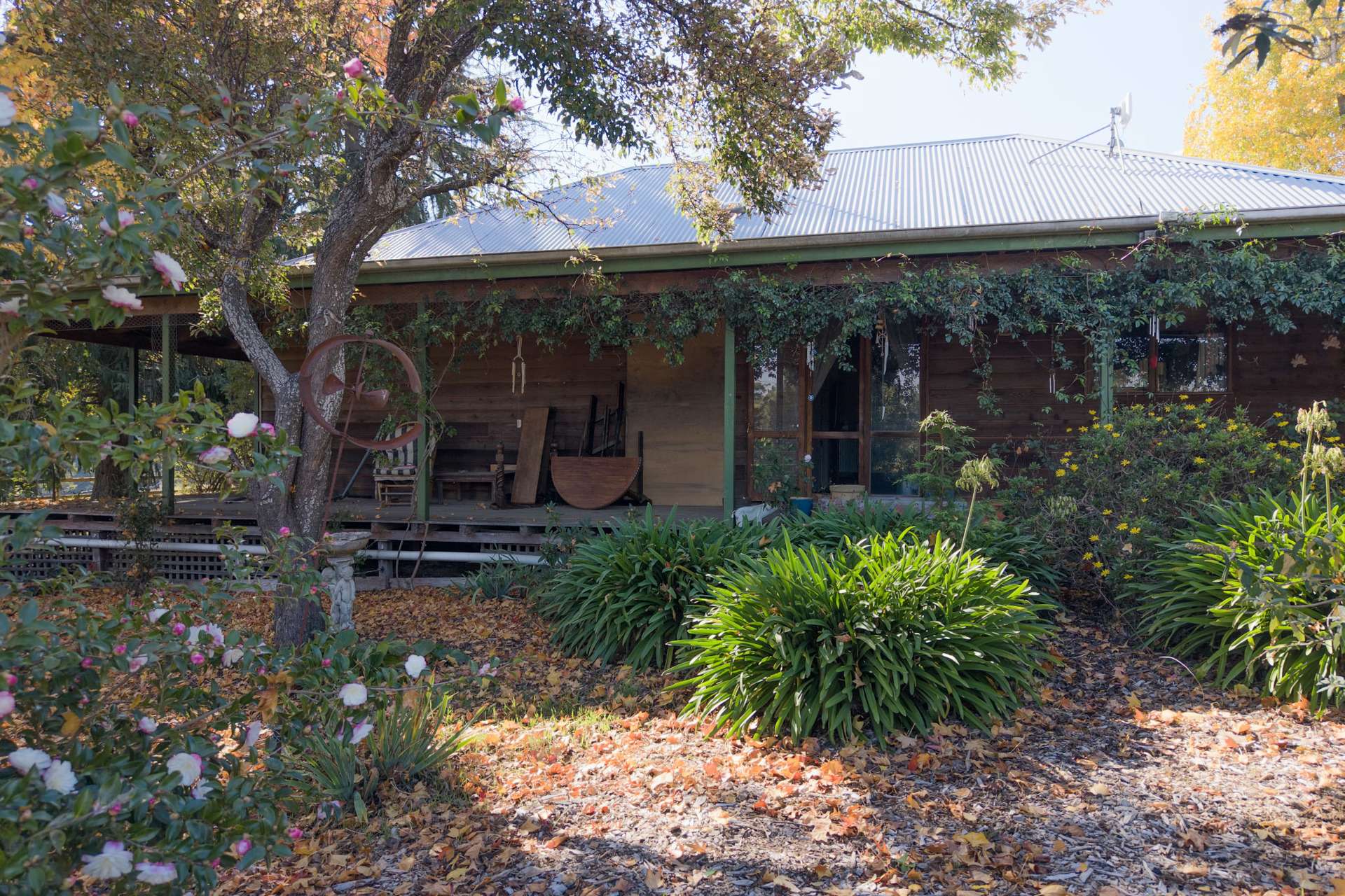 1370 Old Tolmie Road, Tolmie For Sale by Farmbuy.com - image 14