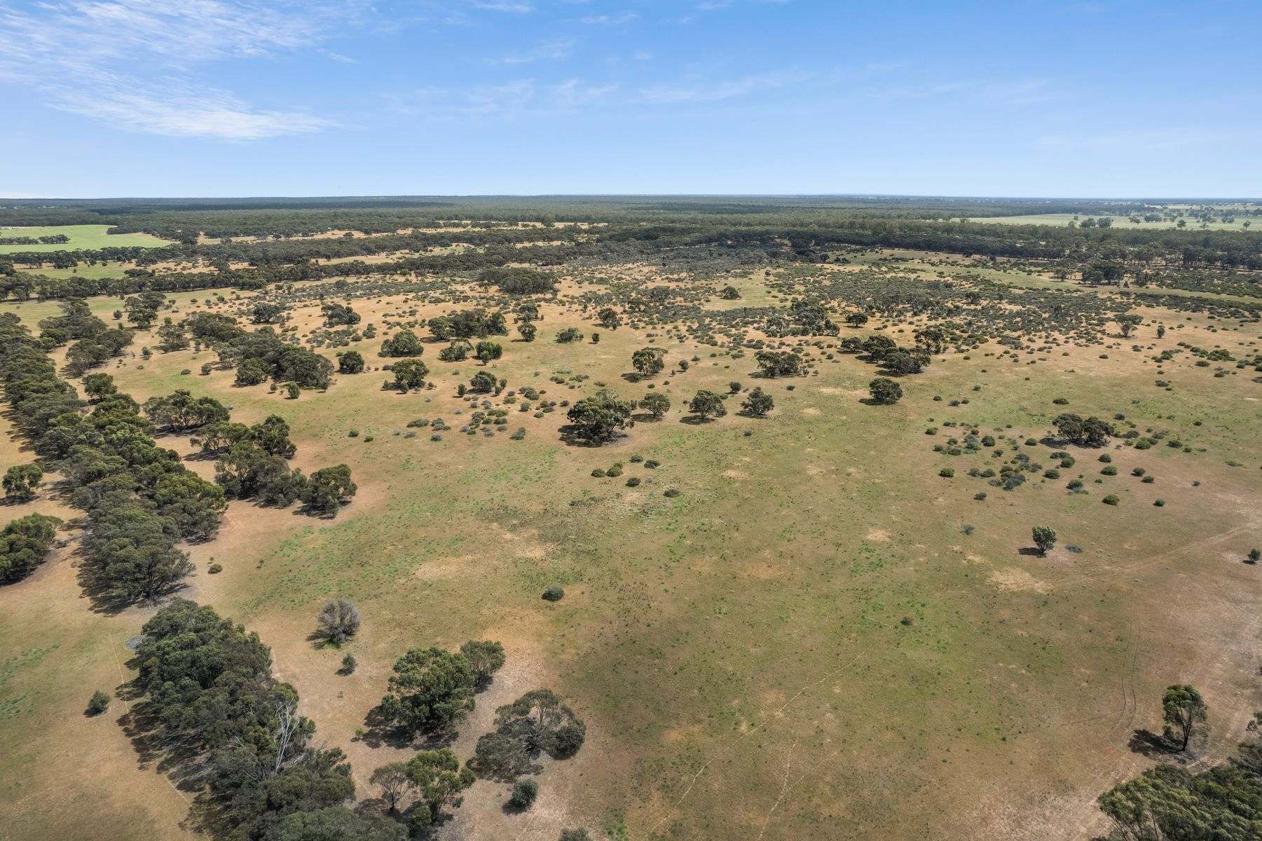 CA 45 Kellys Road, Kamarooka For Sale by Farmbuy.com - image 8