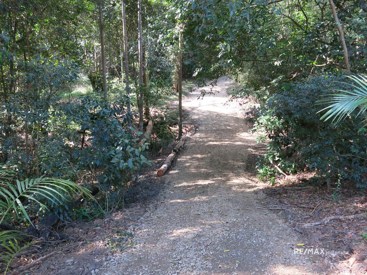 211 Bridge Creek Road, Maleny For Sale by Farmbuy.com - image 6