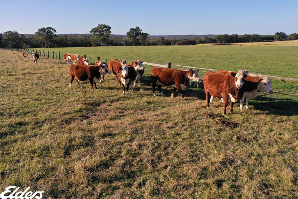322 Stockdale - Fernbank Road, Stockdale For Sale by Farmbuy.com - image 2