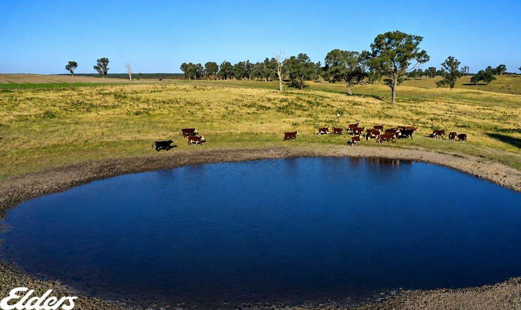 322 Stockdale - Fernbank Road, Stockdale VIC 3862