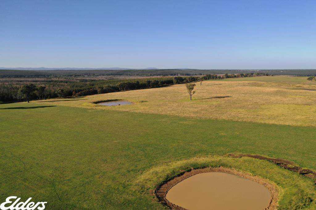 322 Stockdale - Fernbank Road, Stockdale For Sale by Farmbuy.com - image 4