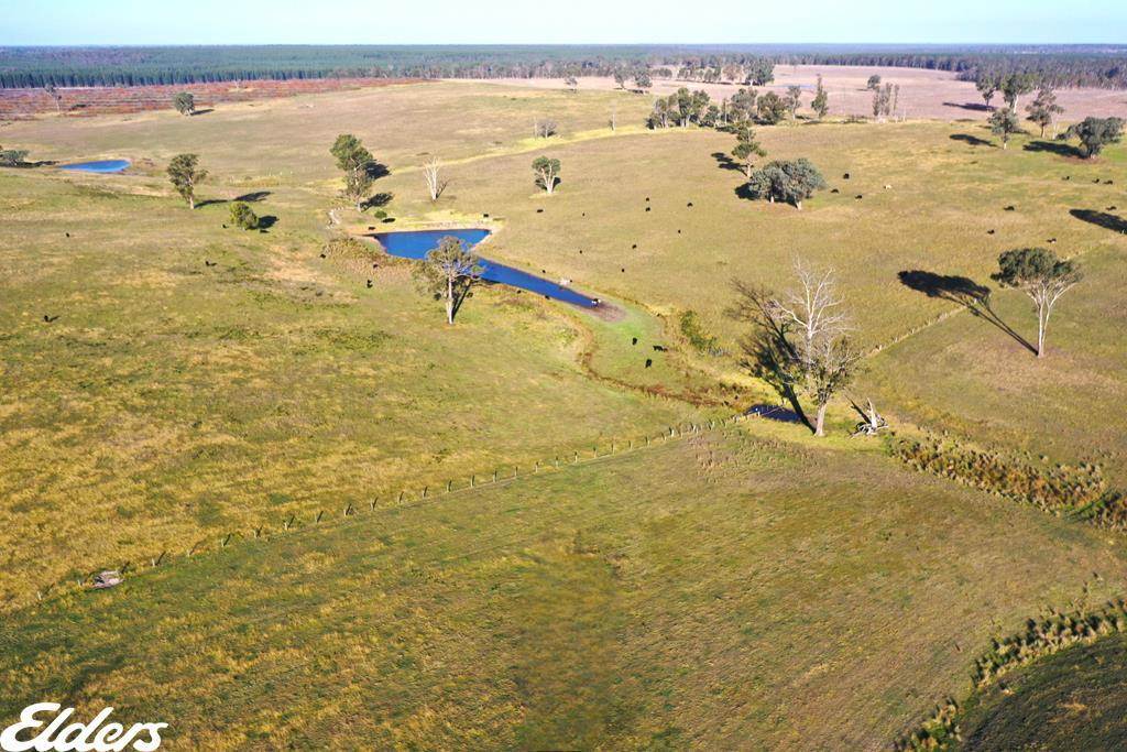 322 Stockdale - Fernbank Road, Stockdale For Sale by Farmbuy.com - image 3