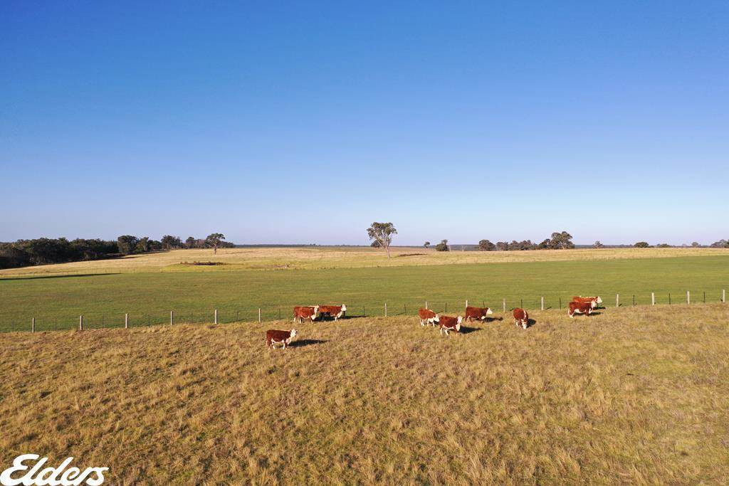 322 Stockdale - Fernbank Road, Stockdale For Sale by Farmbuy.com - image 5