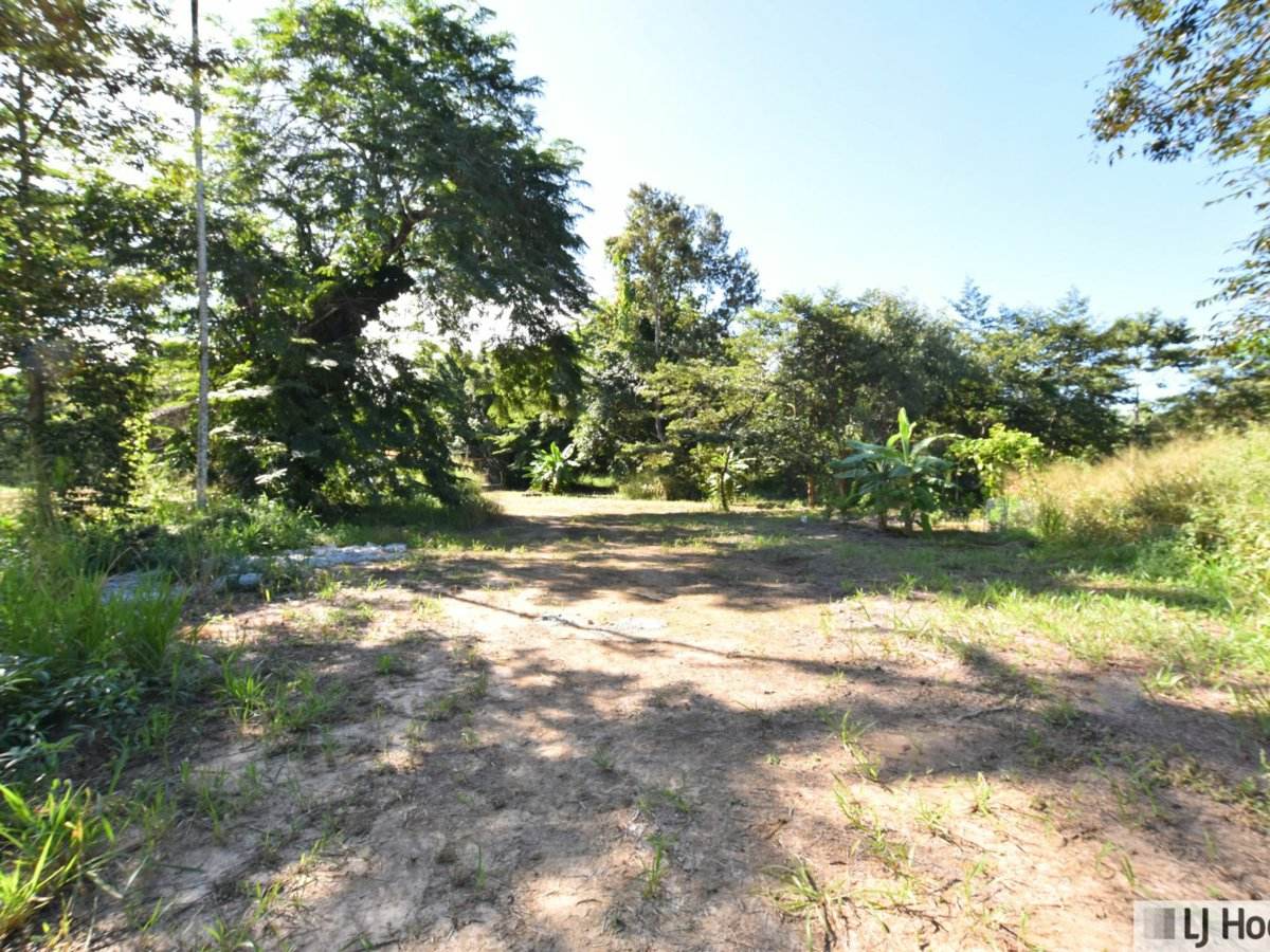 Lot 401 Granadilla Road, Granadilla Sold by Farmbuy.com - image 9