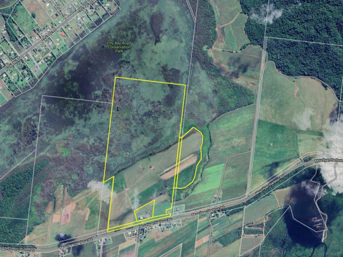 505 Mourilyan Harbour Rd, Mourilyan For Sale by Farmbuy.com - image 1