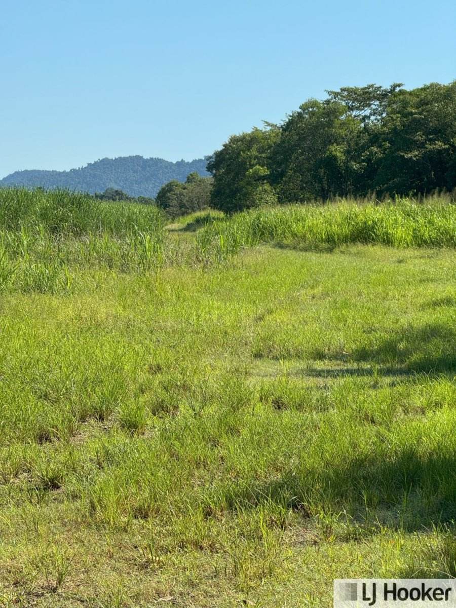 L3 Frazer Road, Birkalla For Sale by Farmbuy.com - image 9