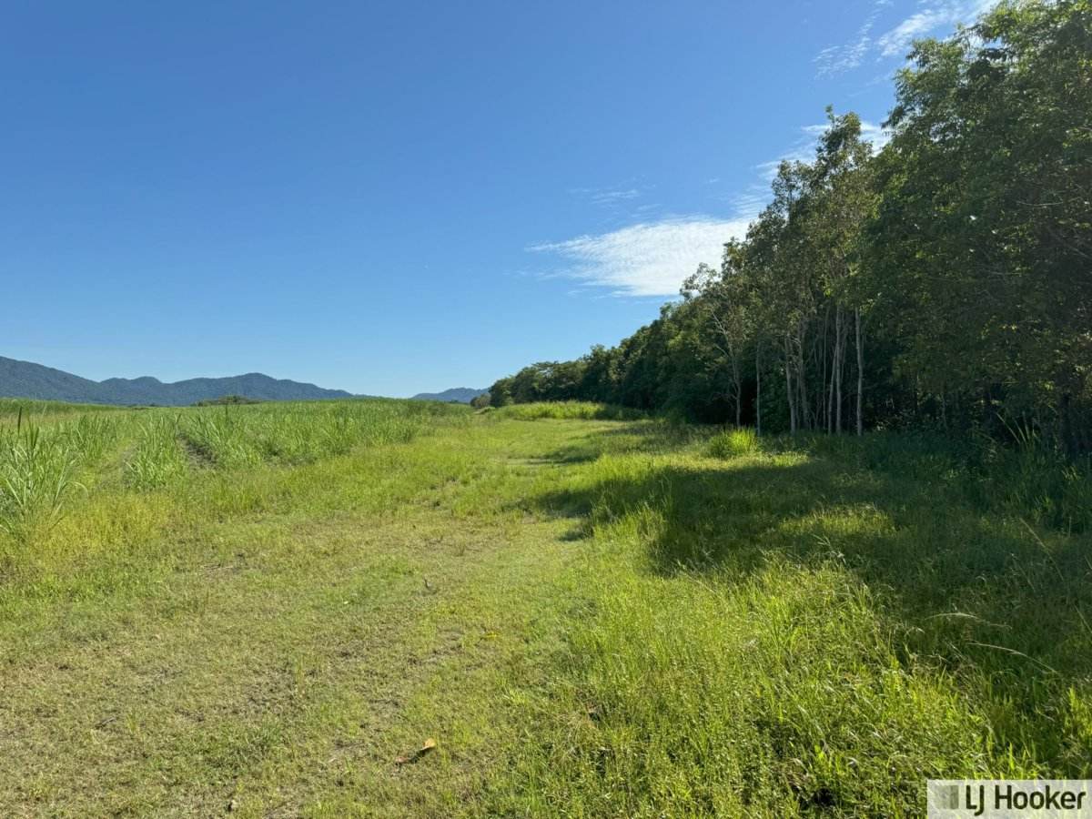L3 Frazer Road, Birkalla For Sale by Farmbuy.com - image 8