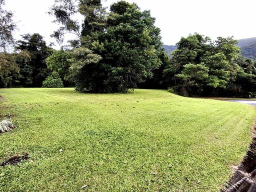 Farm Sold - QLD - Tully - 4854 - A SLICE OF PARADISE 