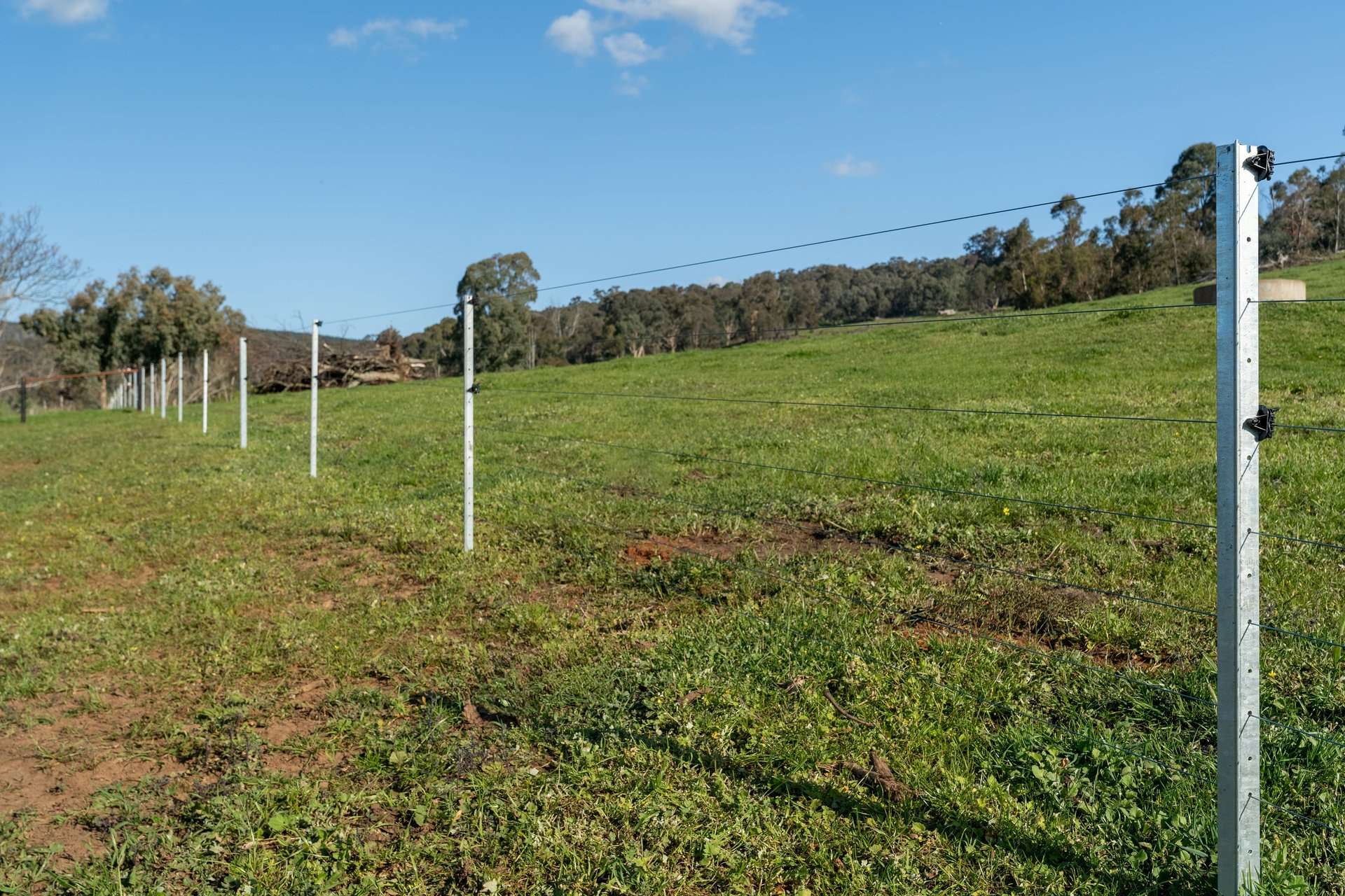 315 Davies Road, Warrenbayne Sold by Farmbuy.com - image 24