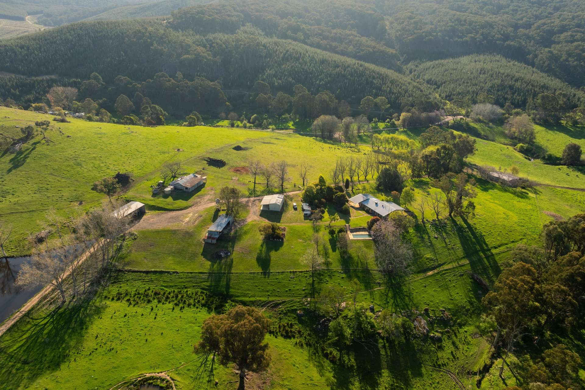 315 Davies Road, Warrenbayne Sold by Farmbuy.com - image 13