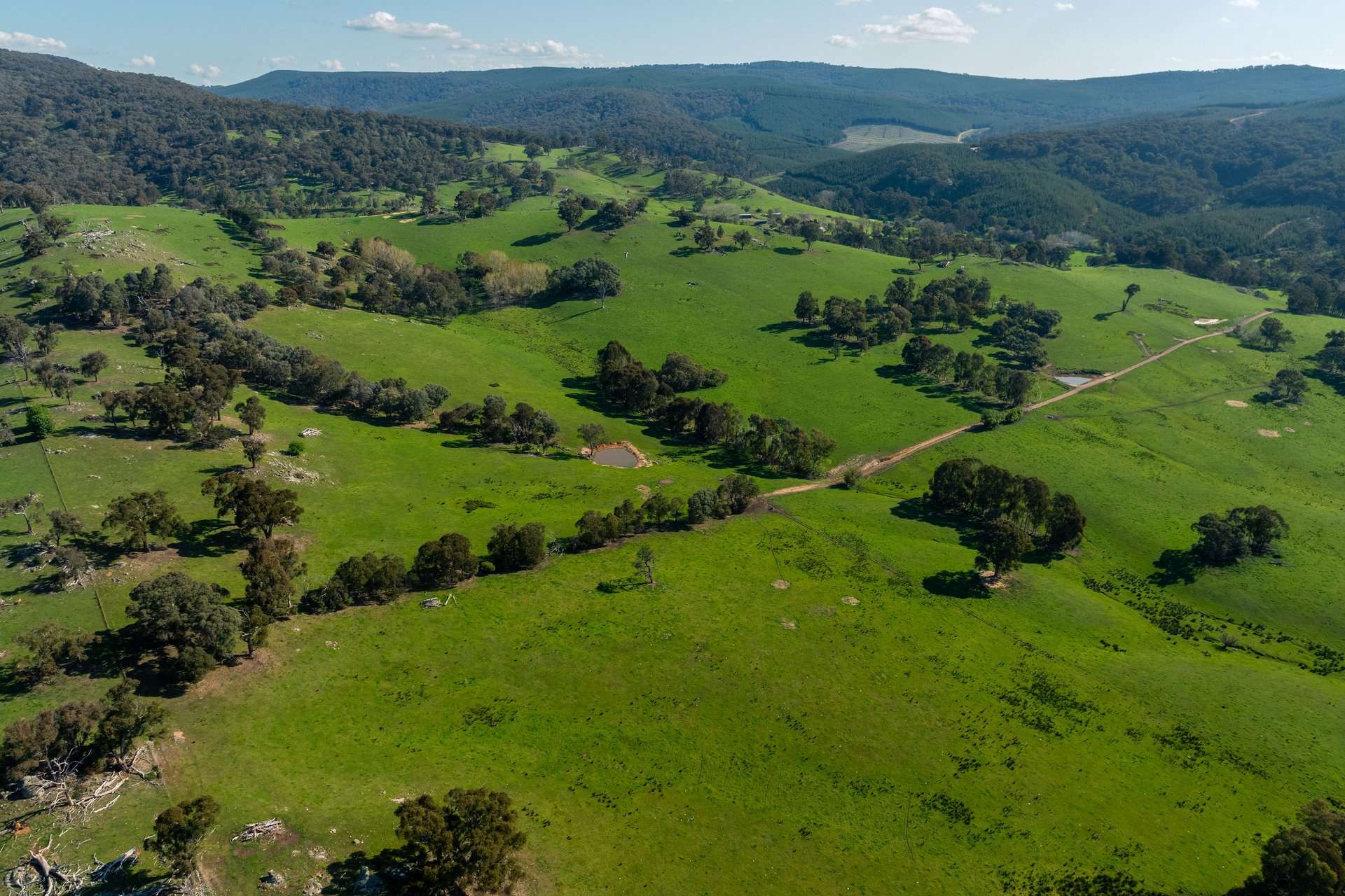 315 Davies Road, Warrenbayne Sold by Farmbuy.com - image 30